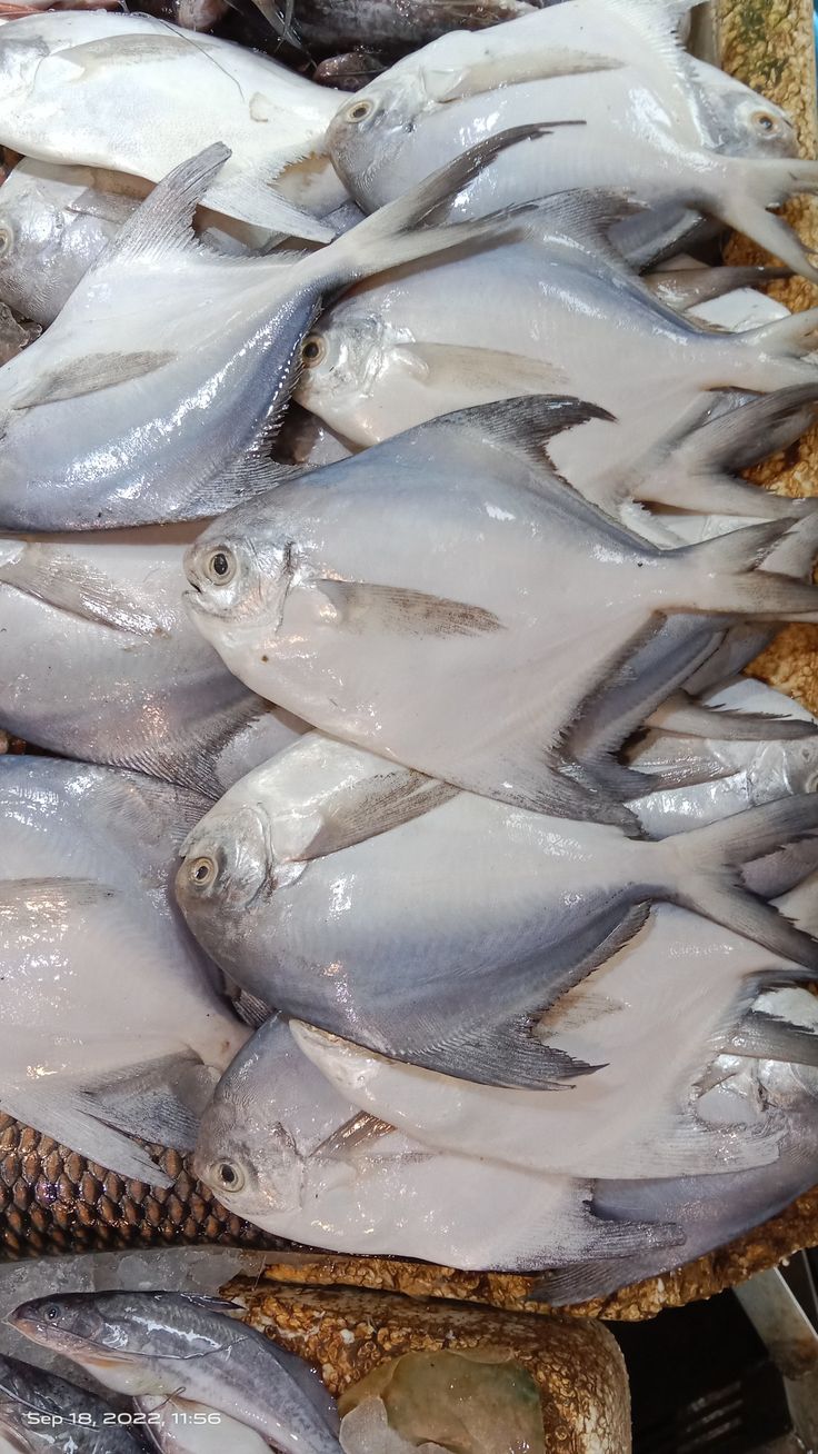 Cumi Sambel Pete